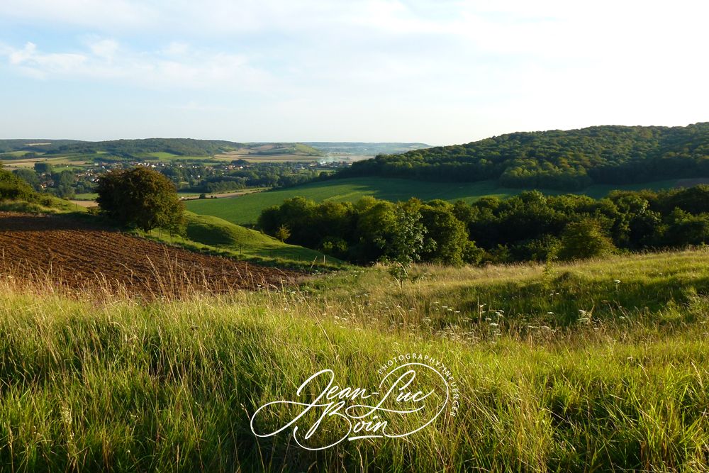 Chapelle Saint-Louis - Guémy