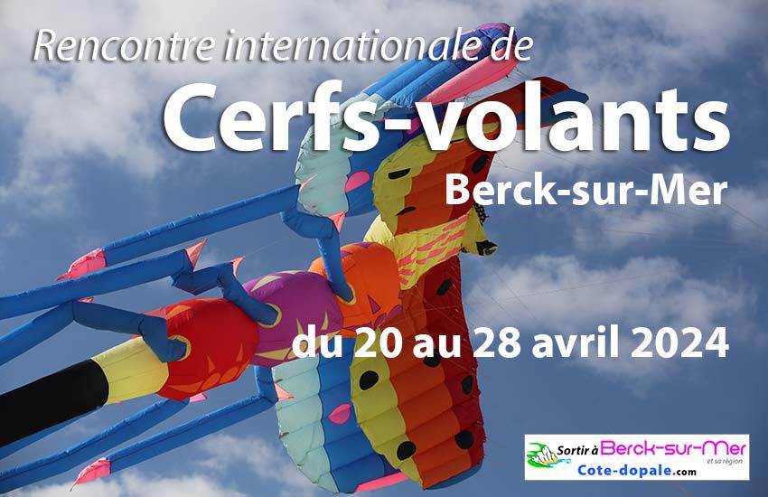 Festival de Cerfs volants Berck sur Mer 2024