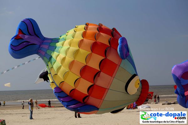 Zoom sur le festival du cerf-volant à Berck-sur-Mer : Femme