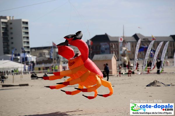 Cerfvolant Berck sur Mer